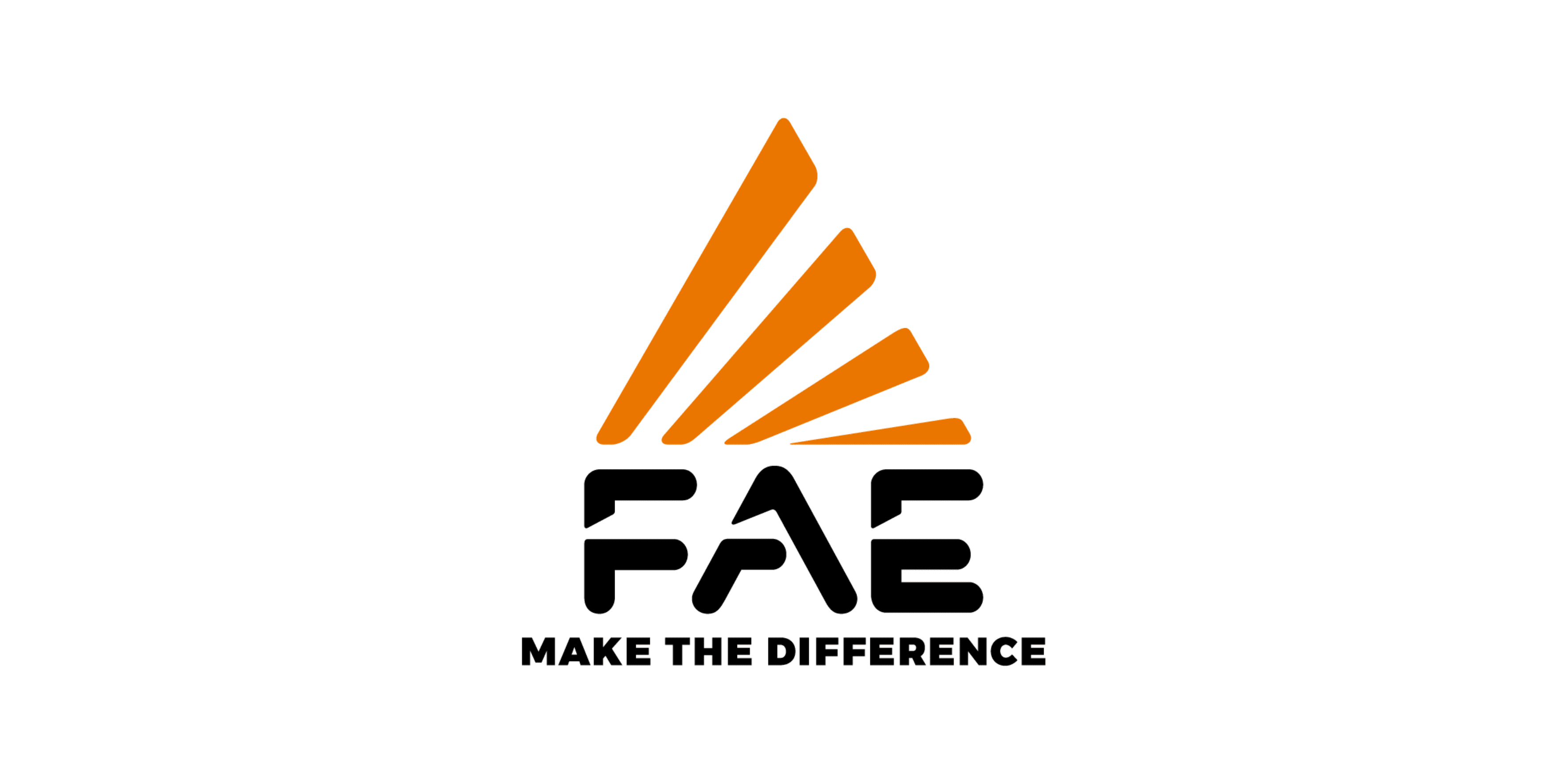 FAE Group a Biella