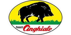 Pennelli Cinghiale a Biella